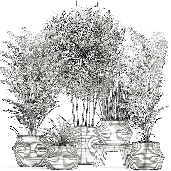 Tropical Plant Collection in Rattan Basket 3D model image 5