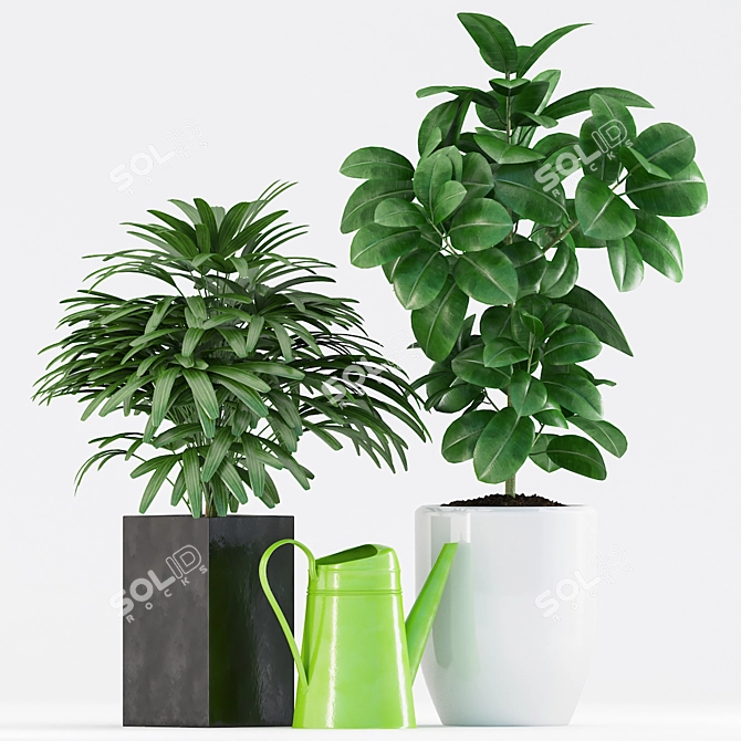 Botanical Bliss: 192 Exquisite Plants 3D model image 2