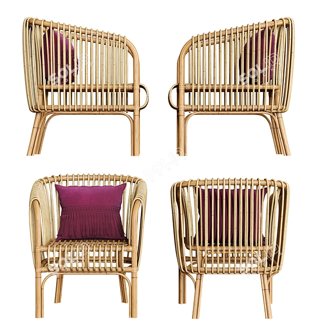 Isabella Rattan Barrel Chair: Chic and Comfortable 3D model image 2