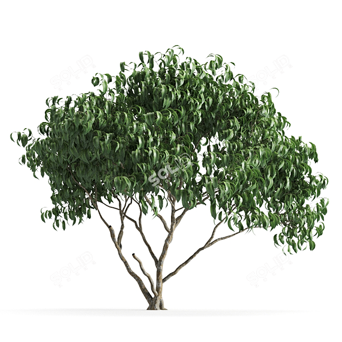 Green Jungle 58F 3D model image 1