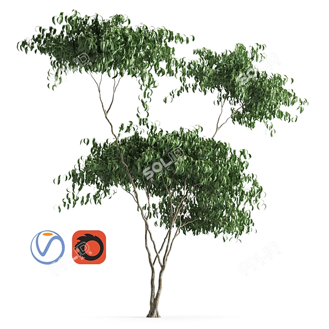 Russian Plant 58: Beautiful and Functional 3D model image 3