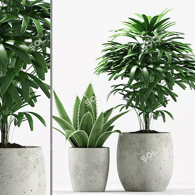 Tropical Greenery Pot Set 3D model image 1