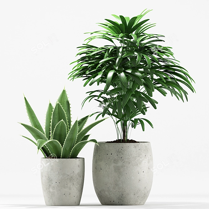 Tropical Greenery Pot Set 3D model image 2