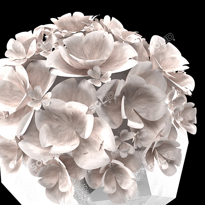 Elegant White Floral Vases 3D model image 6