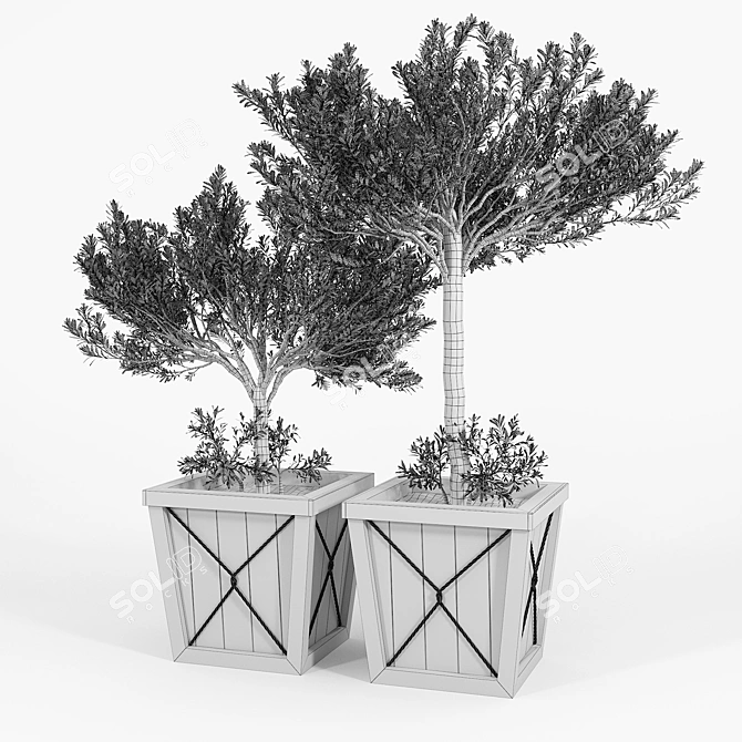 Olea Europaea 3D Model Bundle 3D model image 4