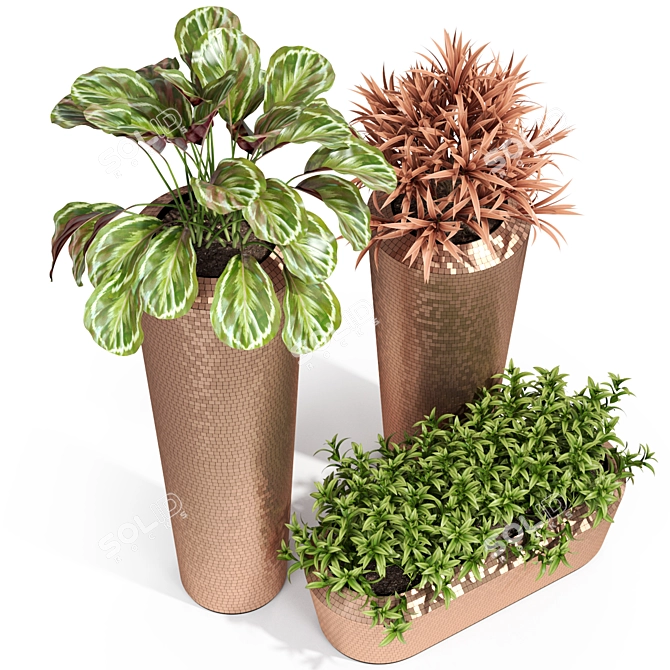 Pixel Plants Collection: Elegant and Modern 3D model image 2