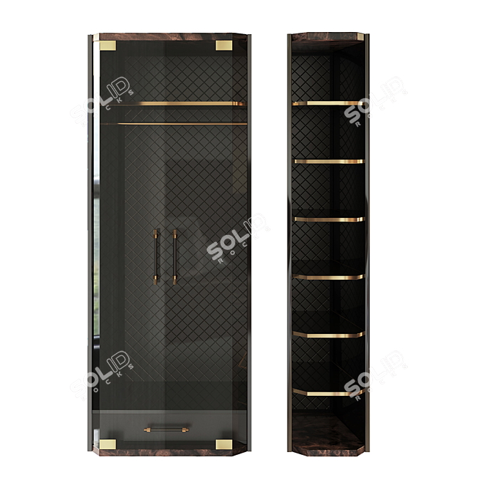 Contemporary Brass and Wood Closet 3D model image 5