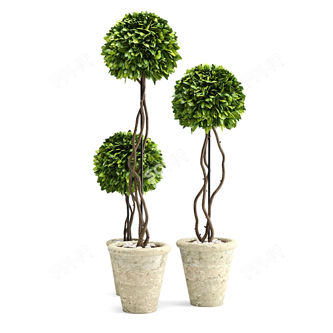 Title: Artificial Boxwood Potted Plant 3D model image 2