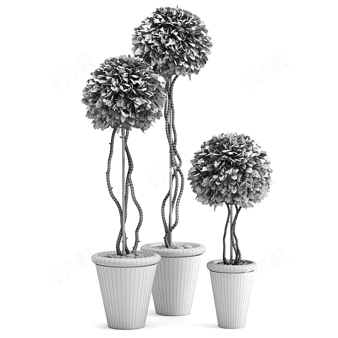 Title: Artificial Boxwood Potted Plant 3D model image 5