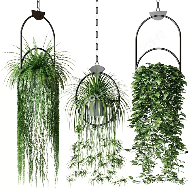 Hanging Plants Decor Set 3D model image 1