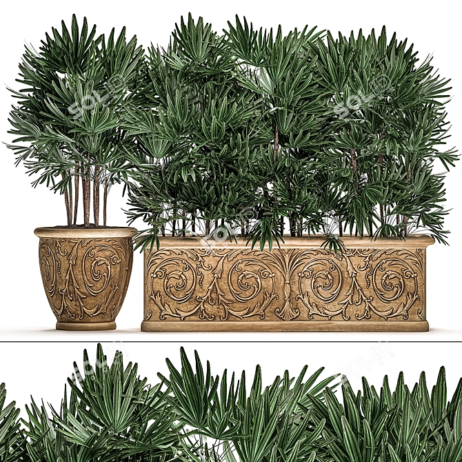 Title: Tropical Plant Collection in Classic Vases 3D model image 1