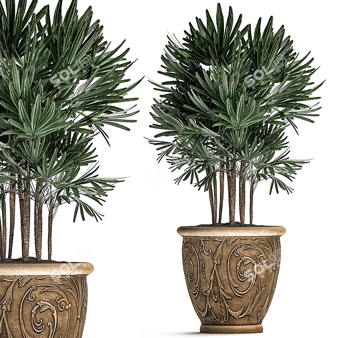 Title: Tropical Plant Collection in Classic Vases 3D model image 4