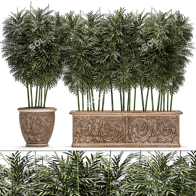 Exotic Bamboo Plants for Outdoor and Indoor Décor 3D model image 1