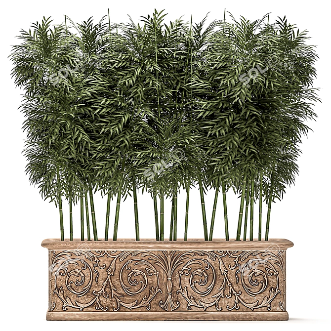 Exotic Bamboo Plants for Outdoor and Indoor Décor 3D model image 2