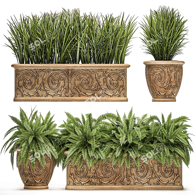 Exotic Plant Collection: Classic Vases for Outdoor Décor 3D model image 1