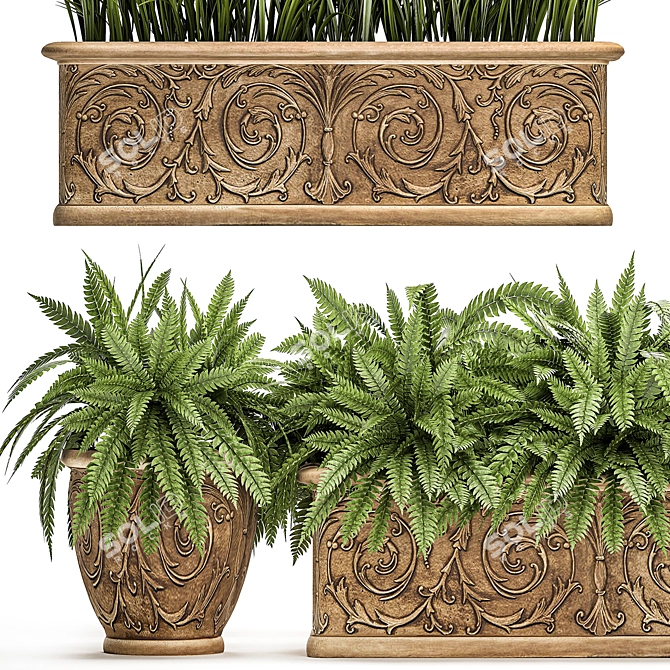 Exotic Plant Collection: Classic Vases for Outdoor Décor 3D model image 2