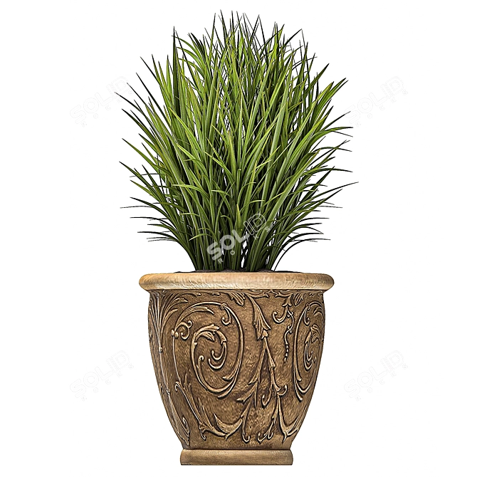 Exotic Plant Collection: Classic Vases for Outdoor Décor 3D model image 3