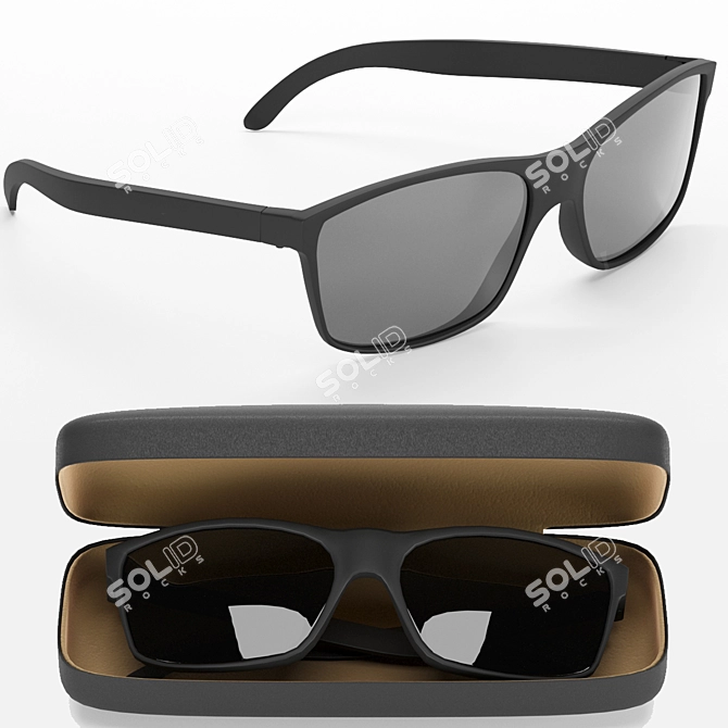 Elegant Sunnies with Case 3D model image 1