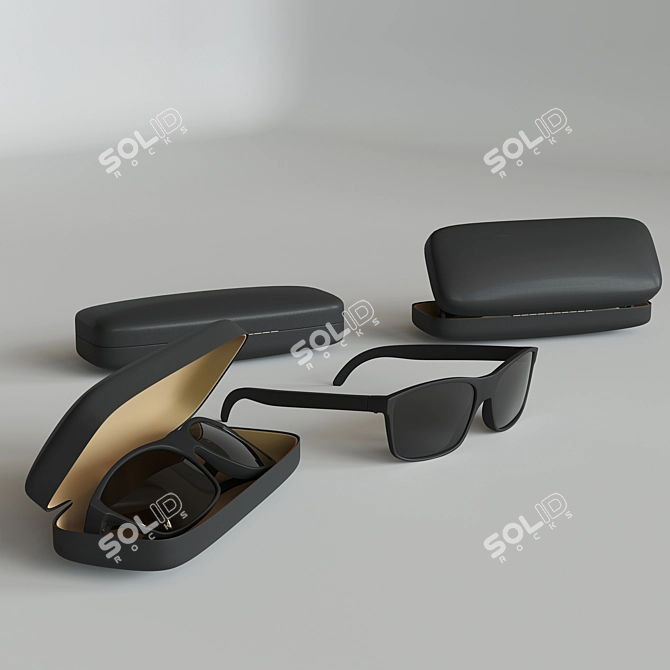 Elegant Sunnies with Case 3D model image 2