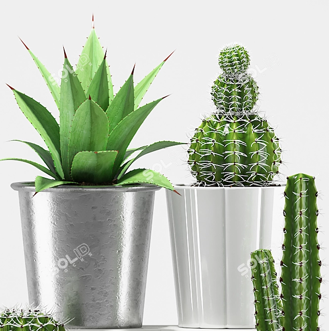 Desert Oasis: Agave & Cactus 3D model image 3