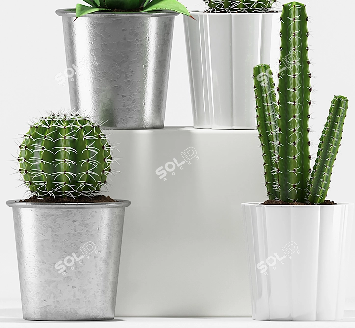 Desert Oasis: Agave & Cactus 3D model image 4