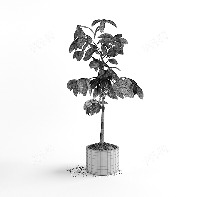 4ft Ficus Plant: 3D Model 3D model image 4