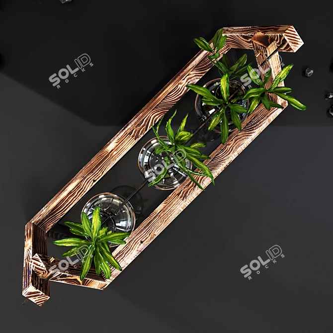 Elegant Glass Terrarium: Modern and Stylish! 3D model image 4