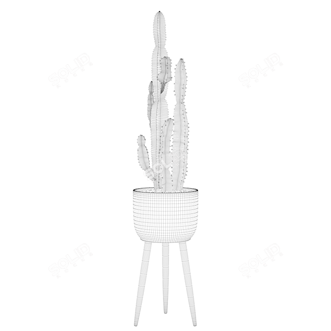 Euphorbia Candelabrum: Unique Indoor Cactus 3D model image 4