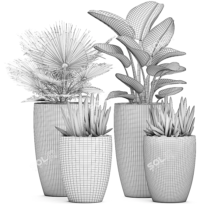 Exotic Tropical Plant Collection 3D model image 5