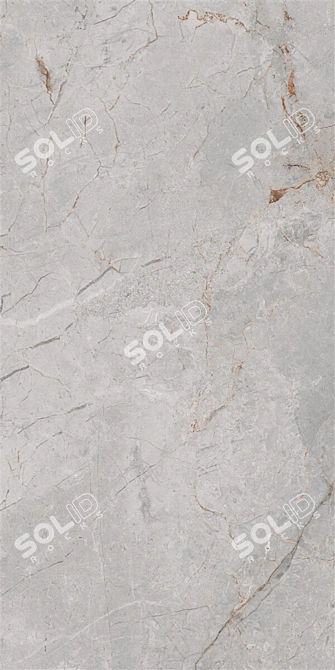 Gray Marble Floor: Multi-Texture, High-Definition 3D model image 3