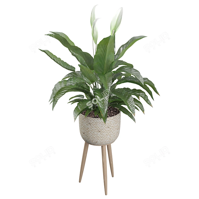 Exquisite Peace Lily - Perfectly Crafted 3D model image 2