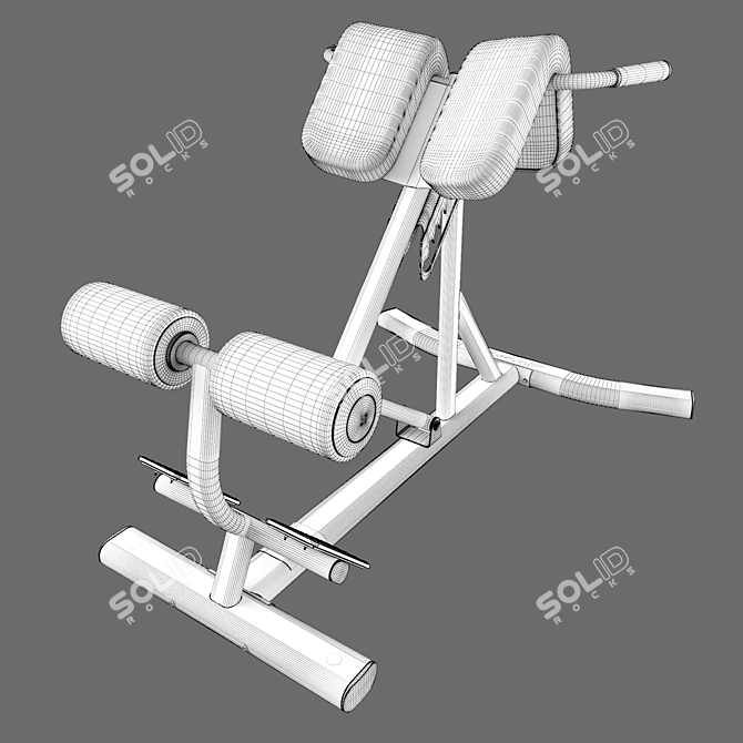 Ultimate Core Strength Builder 3D model image 5