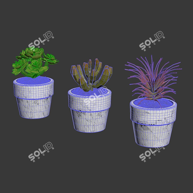 Naturalistic Artificial Succulents 3D model image 4