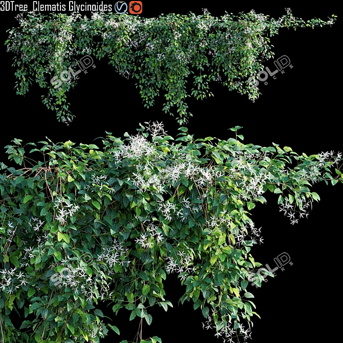 Gorgeous Creeper Plant Model 3D model image 1