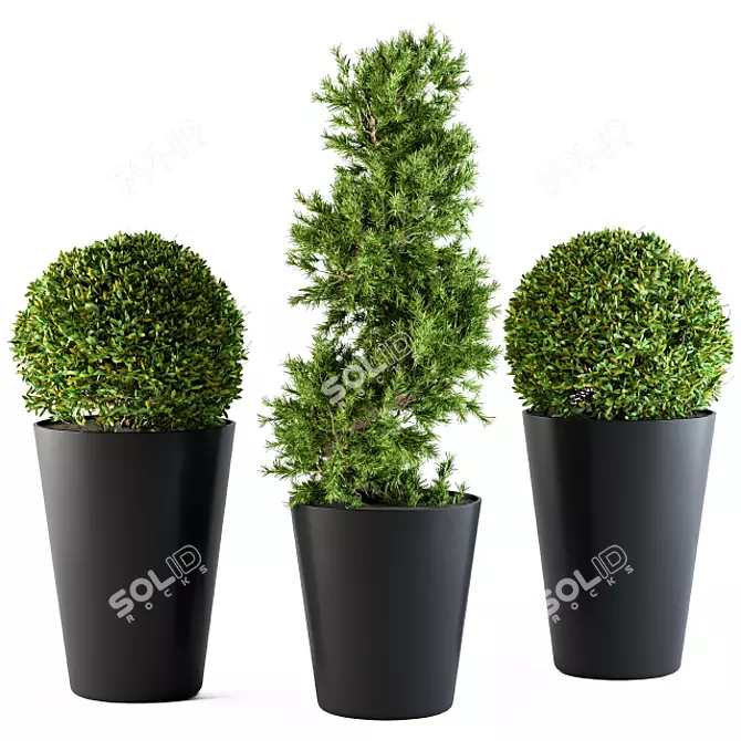 Shapely Outdoor Plants 3D model image 1