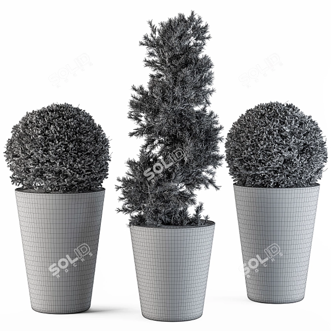 Shapely Outdoor Plants 3D model image 4