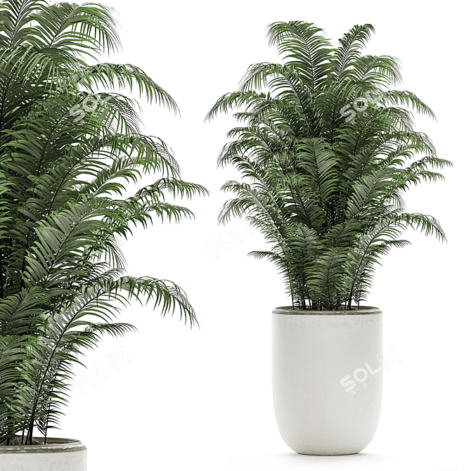 Tropical Plant Collection in White Pots 3D model image 4