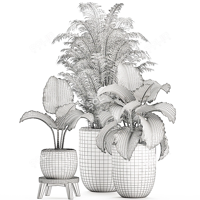 Tropical Plant Collection in White Pots 3D model image 5