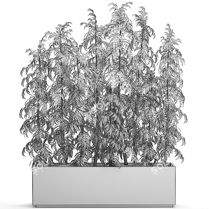 Tropical Plant Collection 3D model image 5