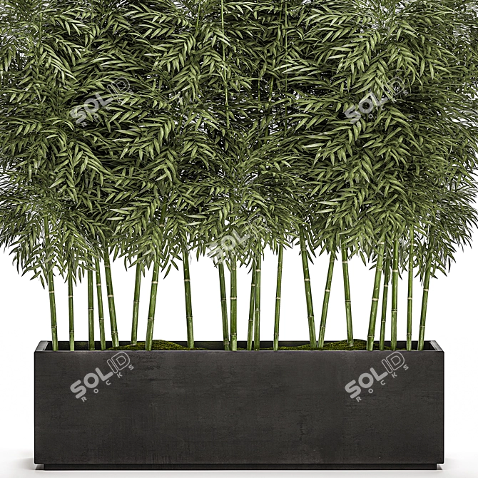 Tropical Plant Collection in White Pots 3D model image 3