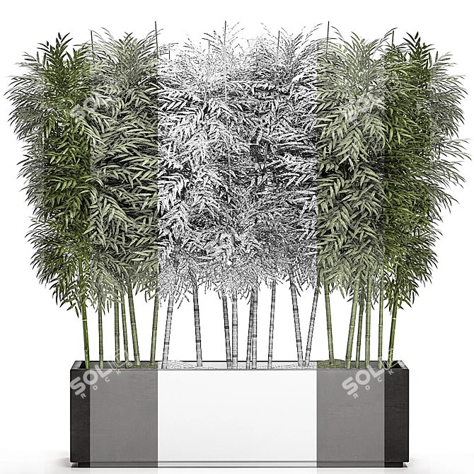 Tropical Plant Collection in White Pots 3D model image 4