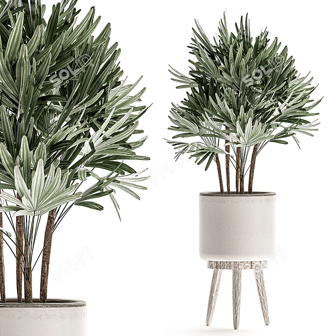 Tropical Plant Collection in White Pots 3D model image 3