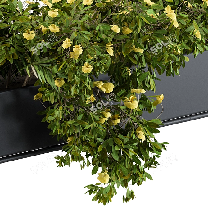 Elegant Black Planter with Vibrant Yellow Blooms 3D model image 2