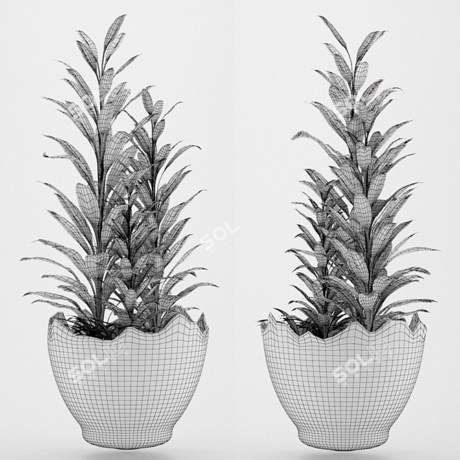 Glossy-leaved Zamioculcas in Pot 3D model image 3