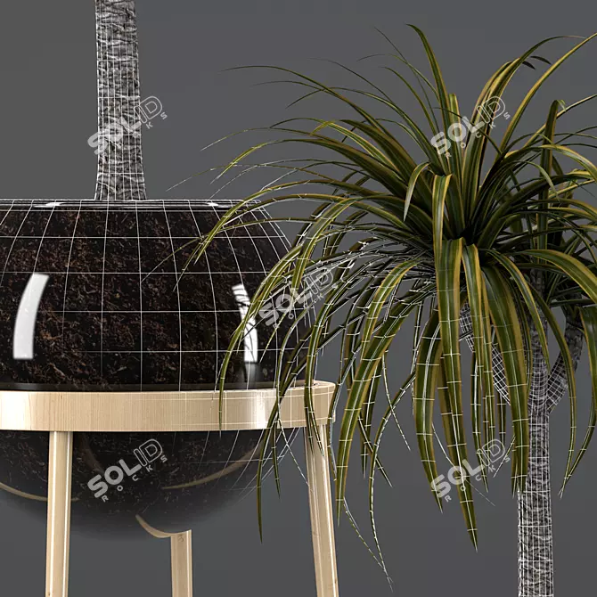 Elegant Dracaena Glass Pot 3D model image 3