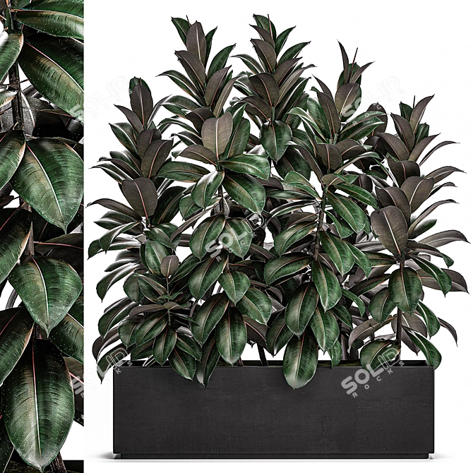Tropical Plant Collection in Black Vase 3D model image 1