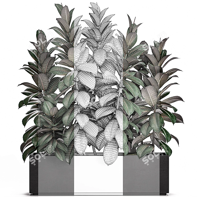 Tropical Plant Collection in Black Vase 3D model image 4