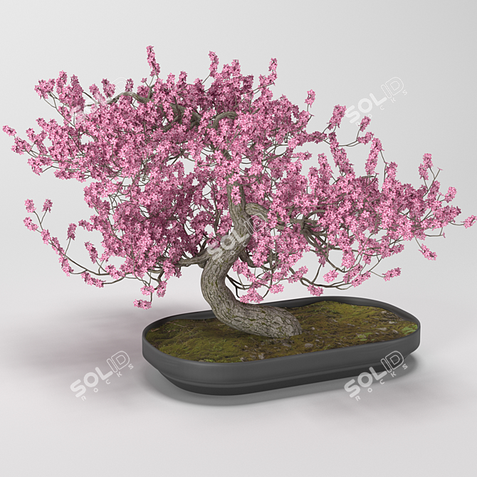 GrowFX Bonsai Tree: Captivating Miniature Beauty 3D model image 1