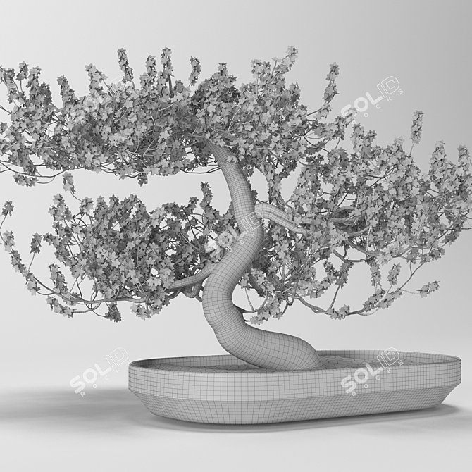 GrowFX Bonsai Tree: Captivating Miniature Beauty 3D model image 3