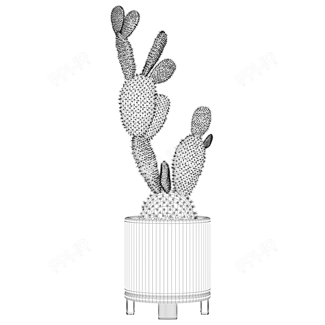 Terrazzo Opuntia Microdasys: 3D Plant Collection 3D model image 2